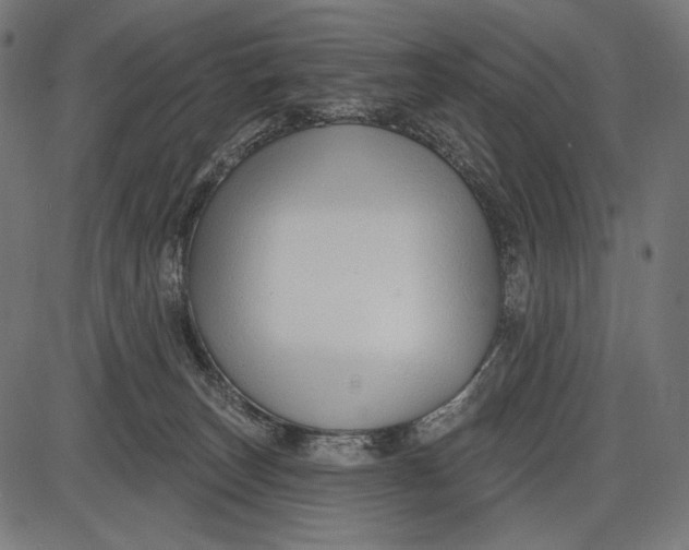 X0000086070179200704091245