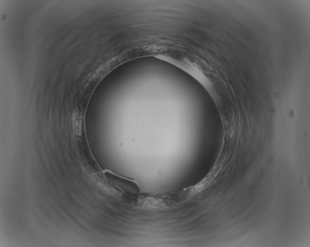 X0000086070180200704091245