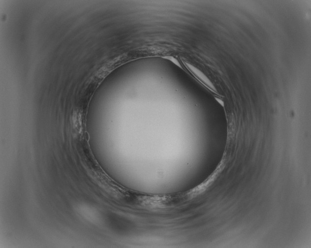 X0000086070182200704091245