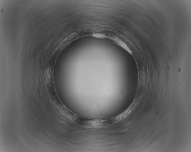 X0000086070184200704091245