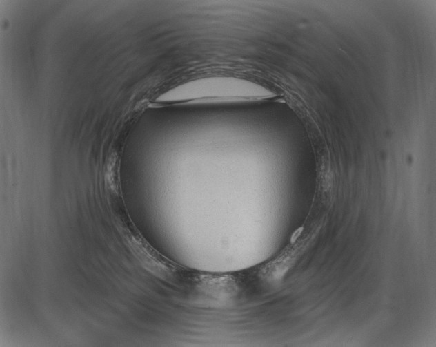 X0000086070185200704091245