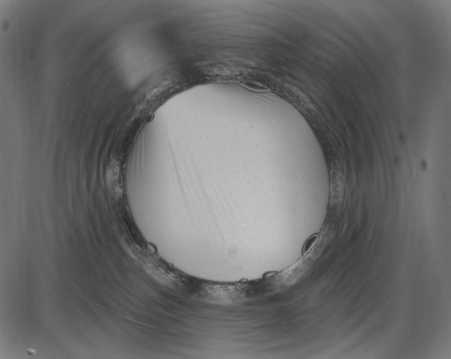 X0000086070187200704091245