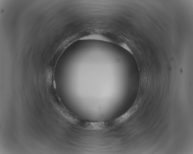 X0000086070188200704091245