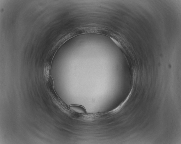 X0000086070190200704091245