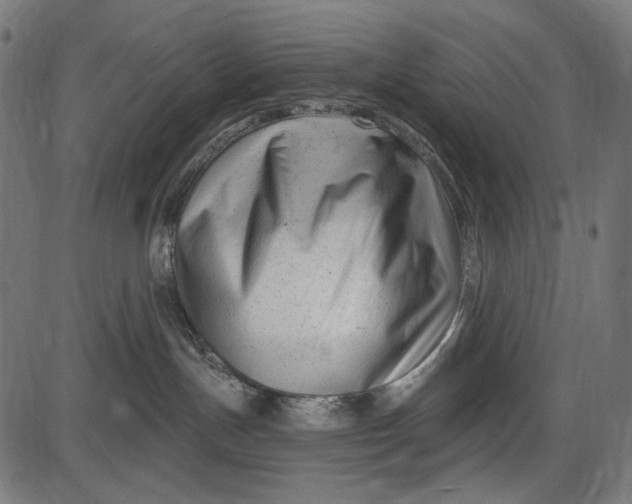 X0000086070191200704091245