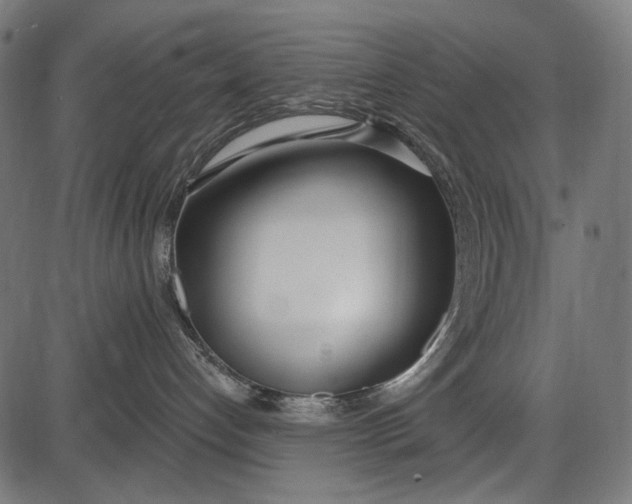 X0000086070192200704091245
