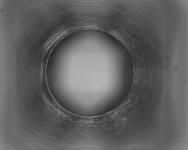 X0000086070194200704091244