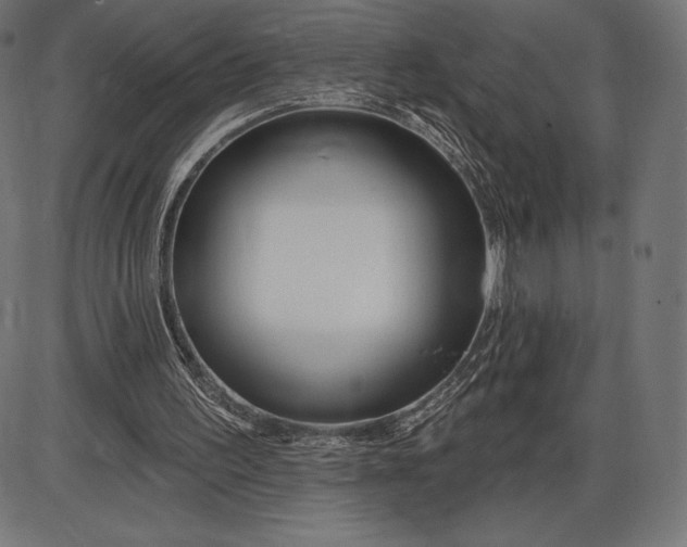 X0000086070195200704091244