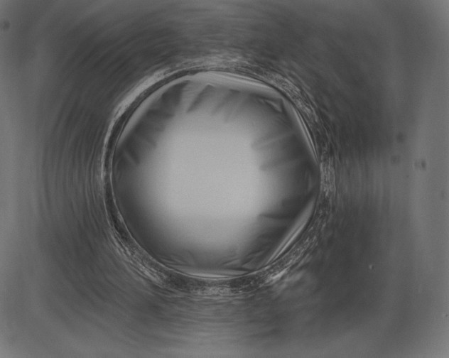 X0000086070196200704091244