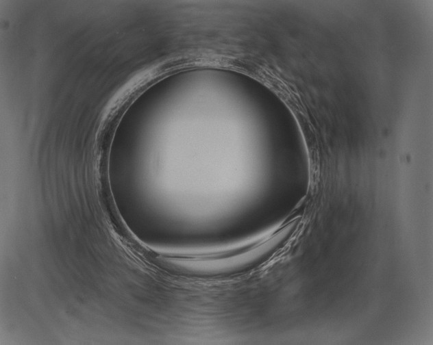 X0000086070197200704091244