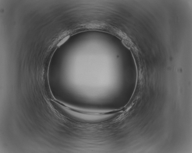 X0000086070201200704091244