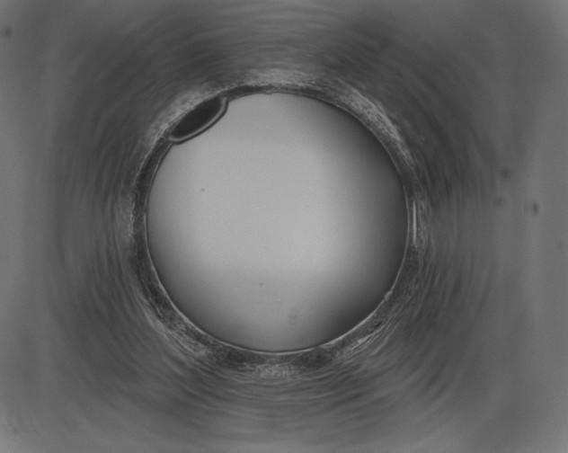 X0000086070204200704091244