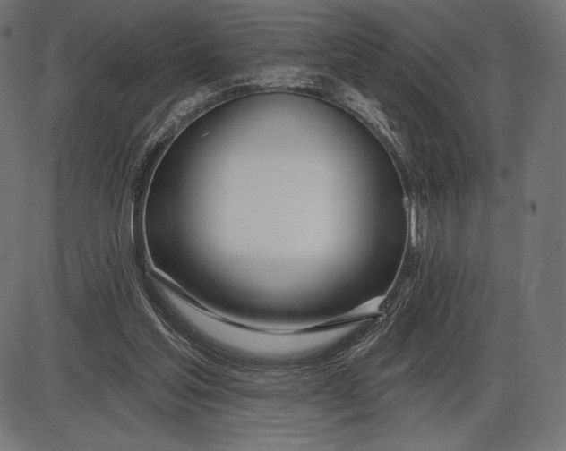 X0000086070205200704091244