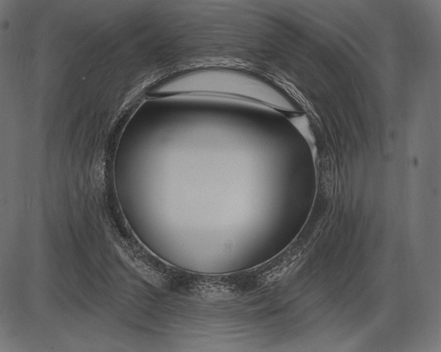 X0000086070207200704091244