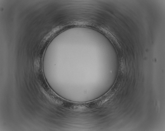 X0000086070208200704091244