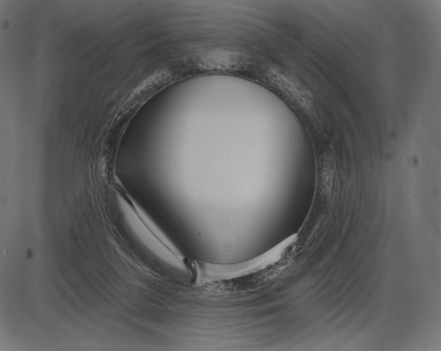 X0000086070211200704091244