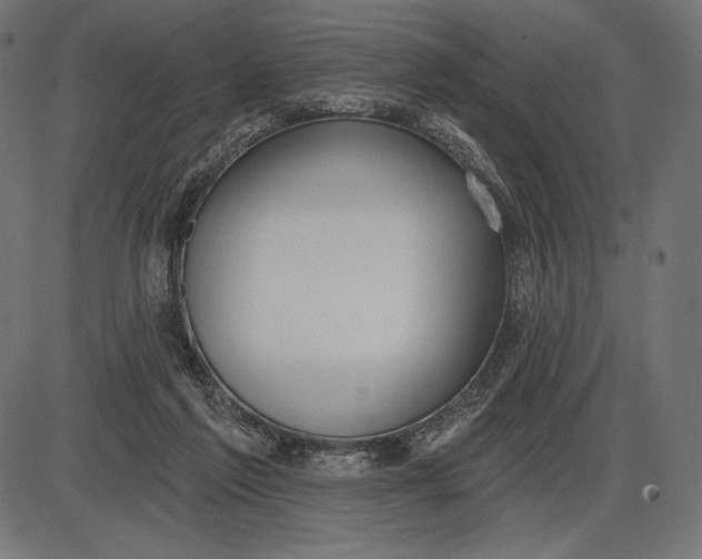 X0000086070213200704091244