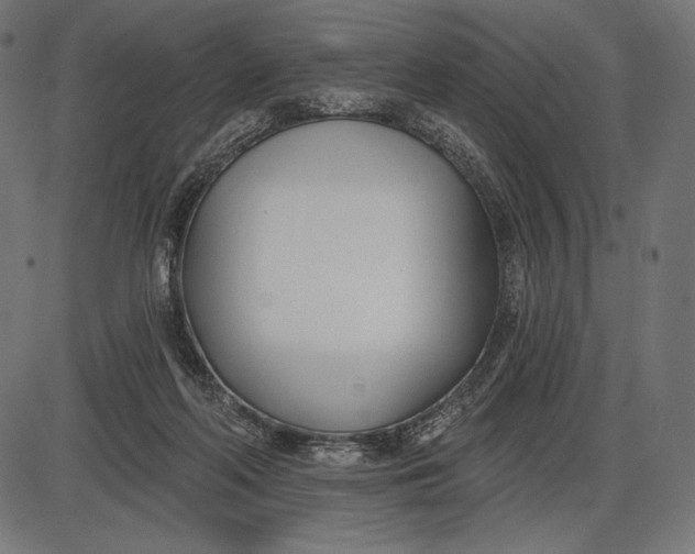 X0000086070214200704091244