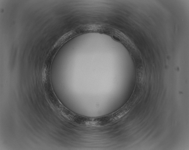 X0000086070216200704091244