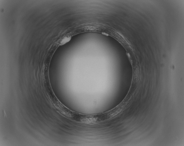 X0000086070217200704091244