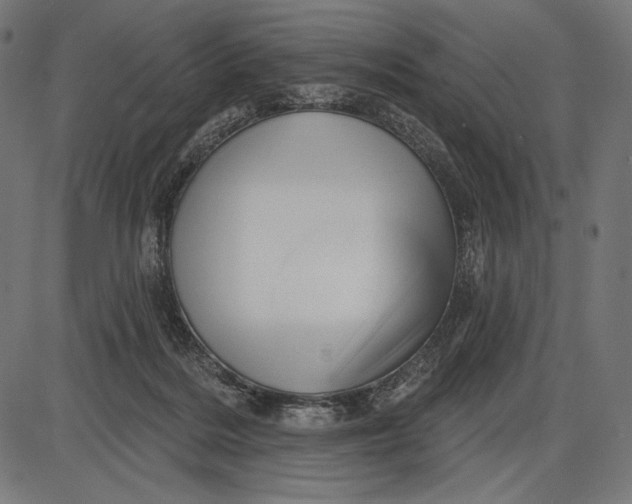 X0000086070220200704091244