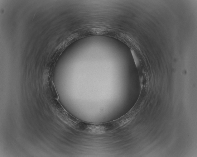 X0000086070221200704091244