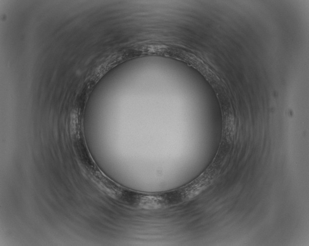 X0000086070222200704091244