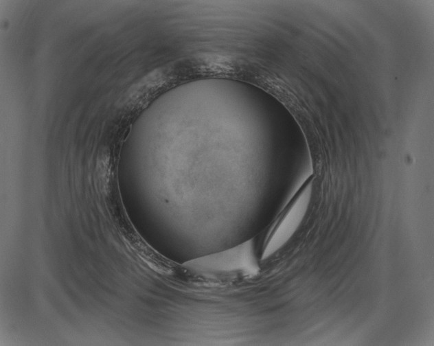 X0000086070223200704091243