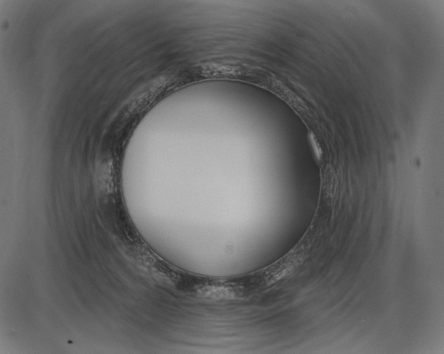 X0000086070224200704091243