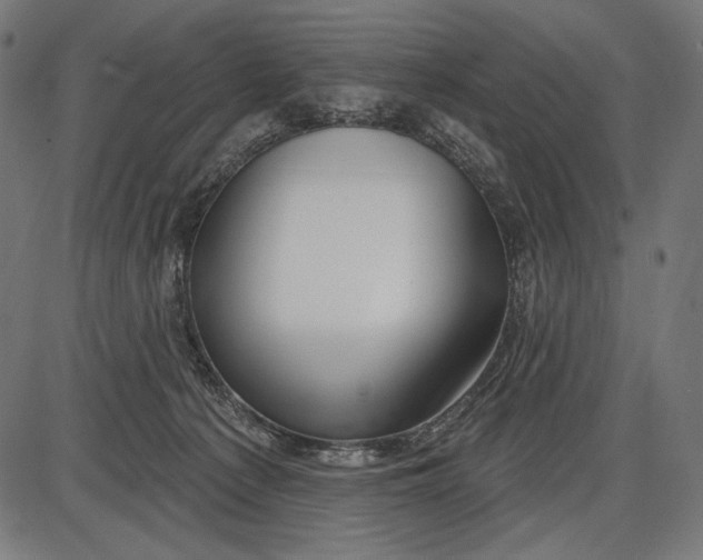 X0000086070225200704091243