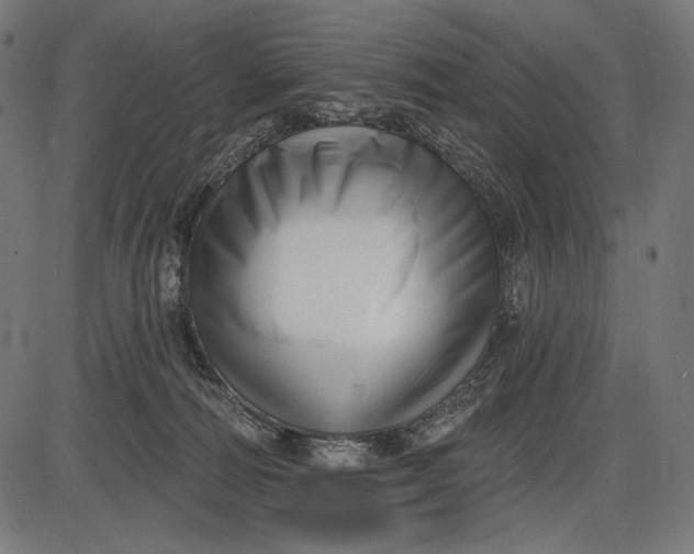 X0000086070226200704091243