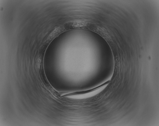 X0000086070227200704091243