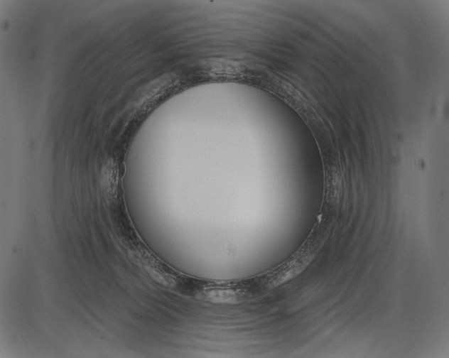 X0000086070228200704091243