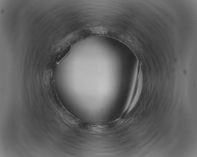 X0000086070229200704091243