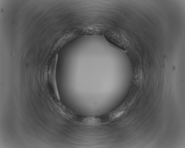 X0000086070231200704091243