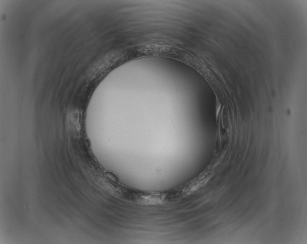 X0000086070232200704091243