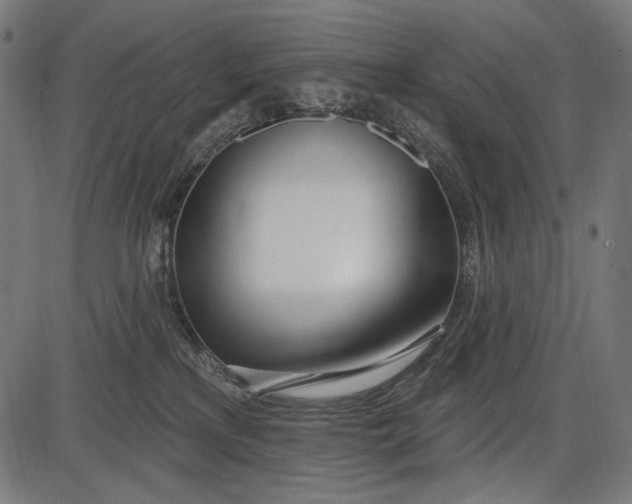 X0000086070233200704091243