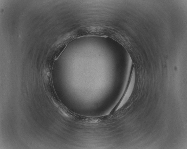 X0000086070235200704091243