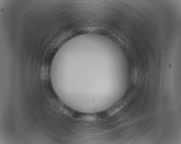 X0000086070236200704091243