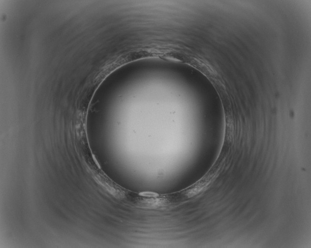 X0000086070237200704091243