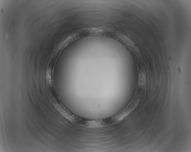 X0000086070238200704091243