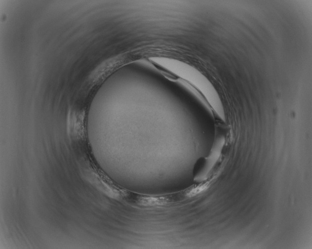 X0000086070239200704091243
