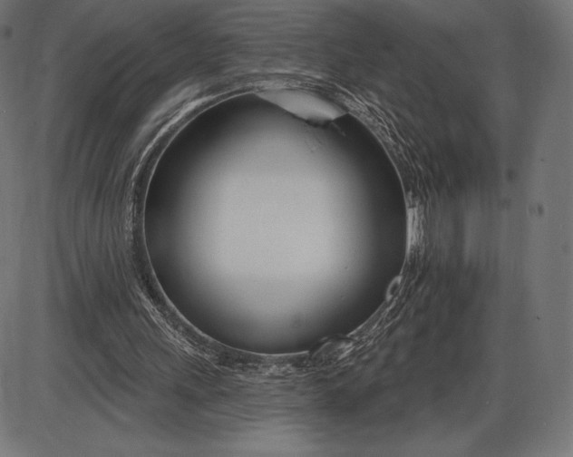 X0000086070243200704091242