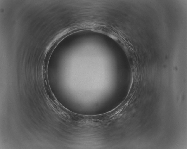 X0000086070244200704091242