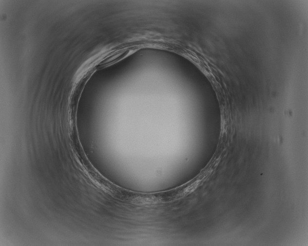 X0000086070245200704091242
