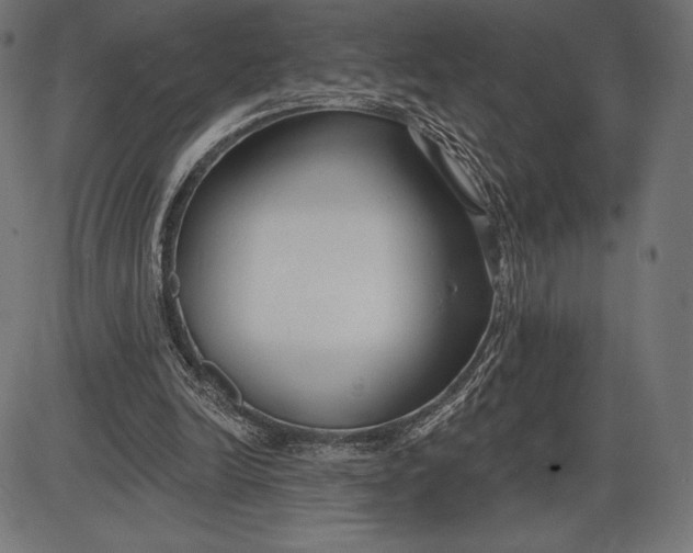 X0000086070246200704091242