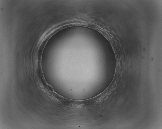 X0000086070247200704091243