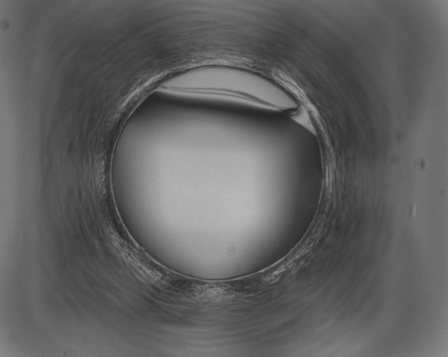 X0000086070249200704091243