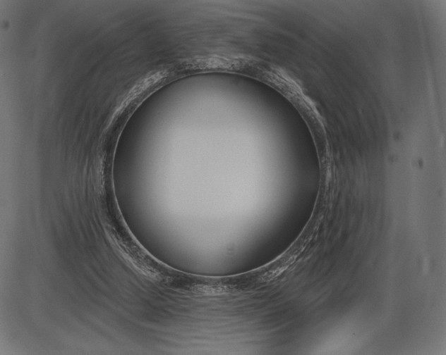X0000086070250200704091243
