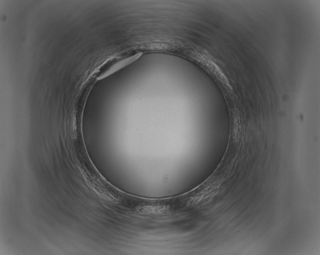 X0000086070251200704091243